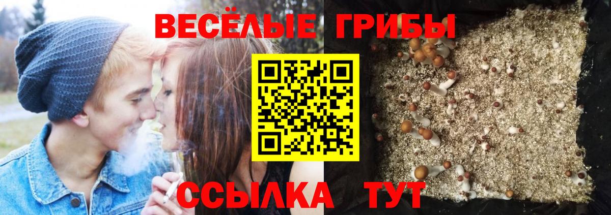 Уварово  Псилоцибиновые грибы ЛСД  Вход с VPN 
